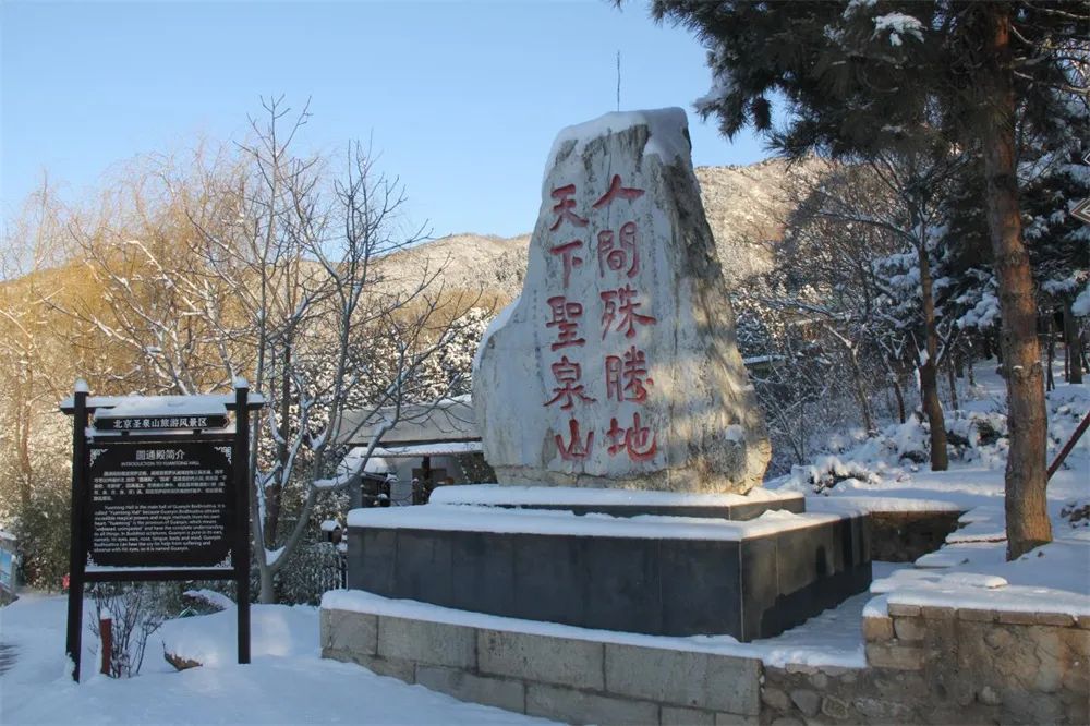 当春花遇上春雪，看京城别样的诗意与浪漫~