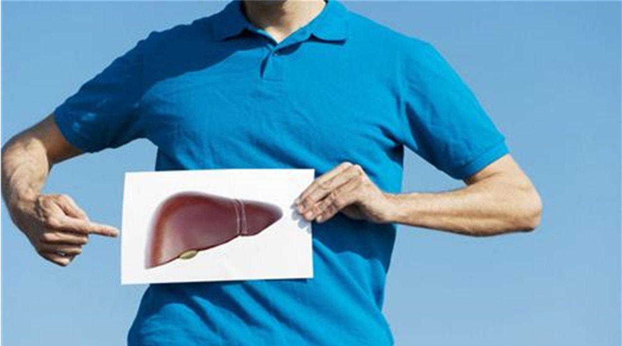 肝脏能够合成蛋白，所以肌肉强肝就好？肝脏功能好不好，如何检查