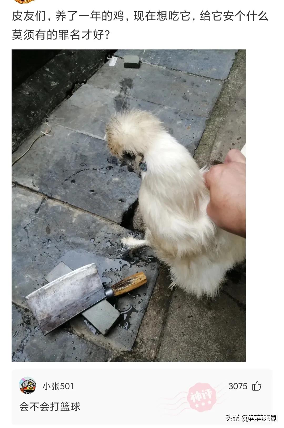 神回复：过生日如何低调优雅的发朋友圈？
