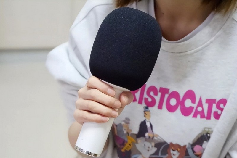 国潮元素 唱吧小唱K歌宝C12