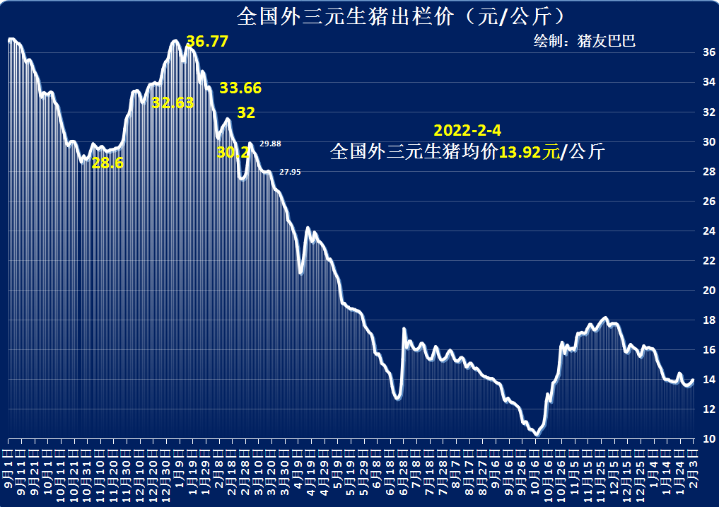 虎年猪价“虎落平阳”？屠企虎视眈眈，生猪价格变脸！2月4日猪价