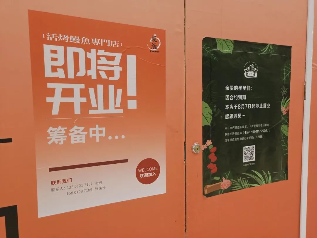 大悦城网红沉浮录