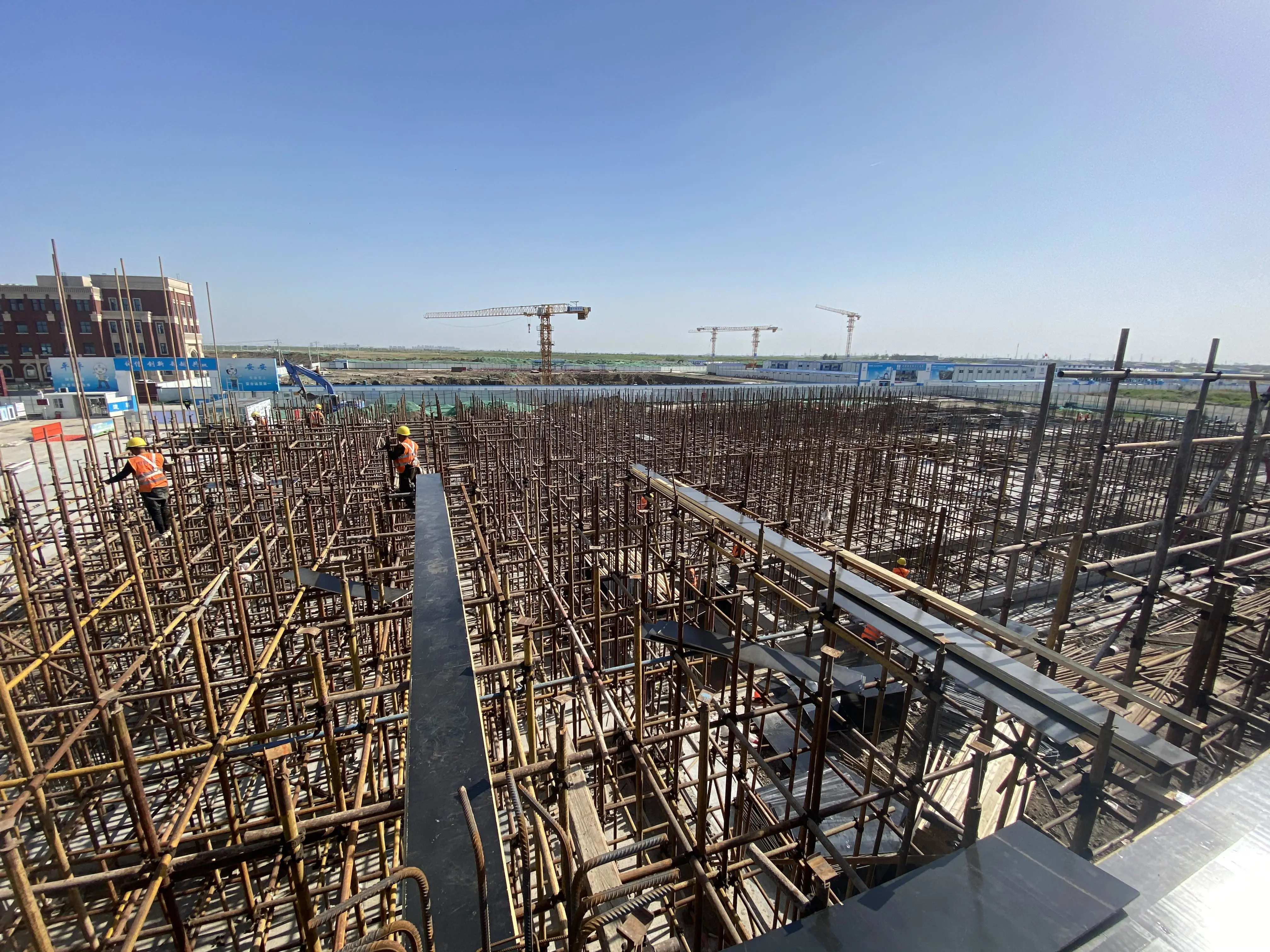 先睹为快！天津医科大学新校区一期工程主体封顶了