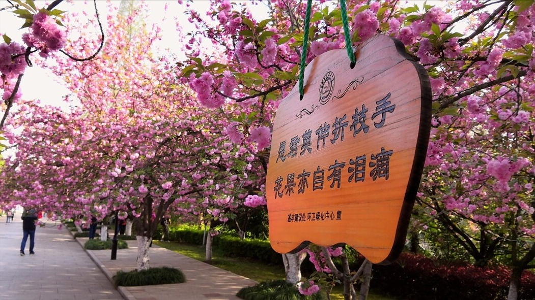 中科大数学系，将来就业有问题吗？