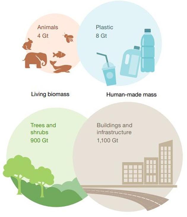 全球人造物重量首次超过总生物量