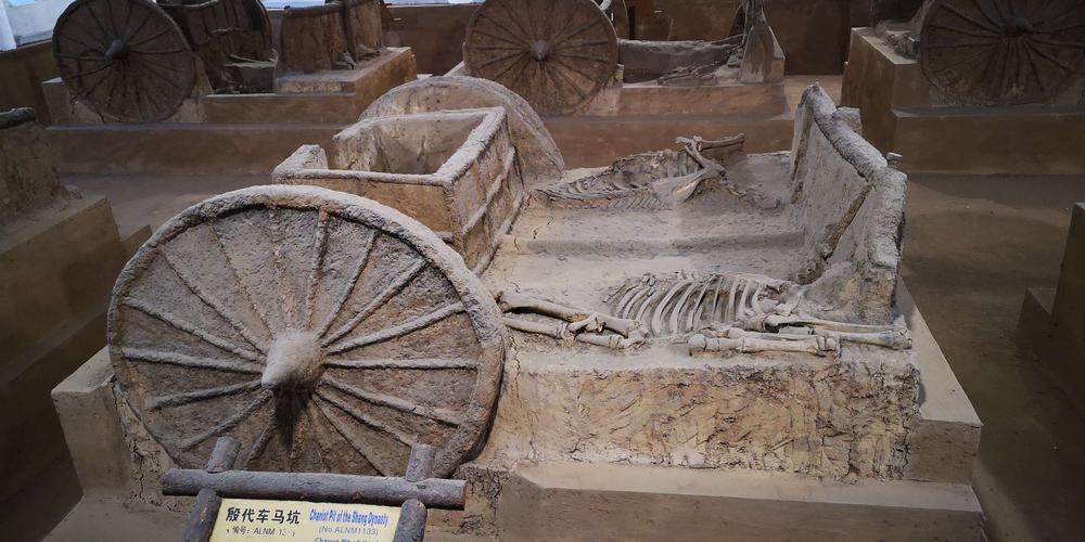 「关注」人类活动一定会导致气候变暖，会给地球带来灭顶之灾吗？