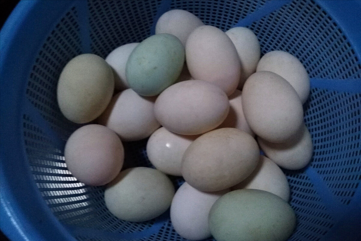 腌咸鸭蛋，不泡盐水不裹泥巴，教你一个新式腌法，个个流油起沙