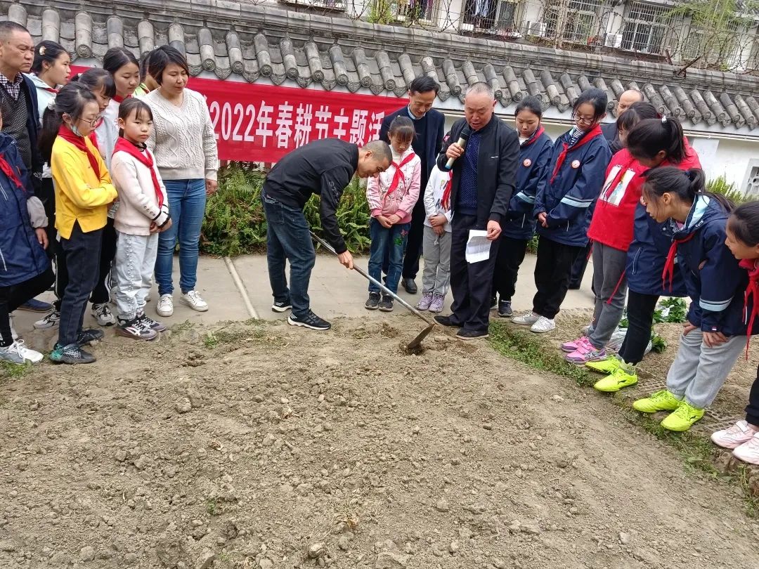 天府新区大林小学开展“春耕节”和“春意VS烟火”劳动实践活动
