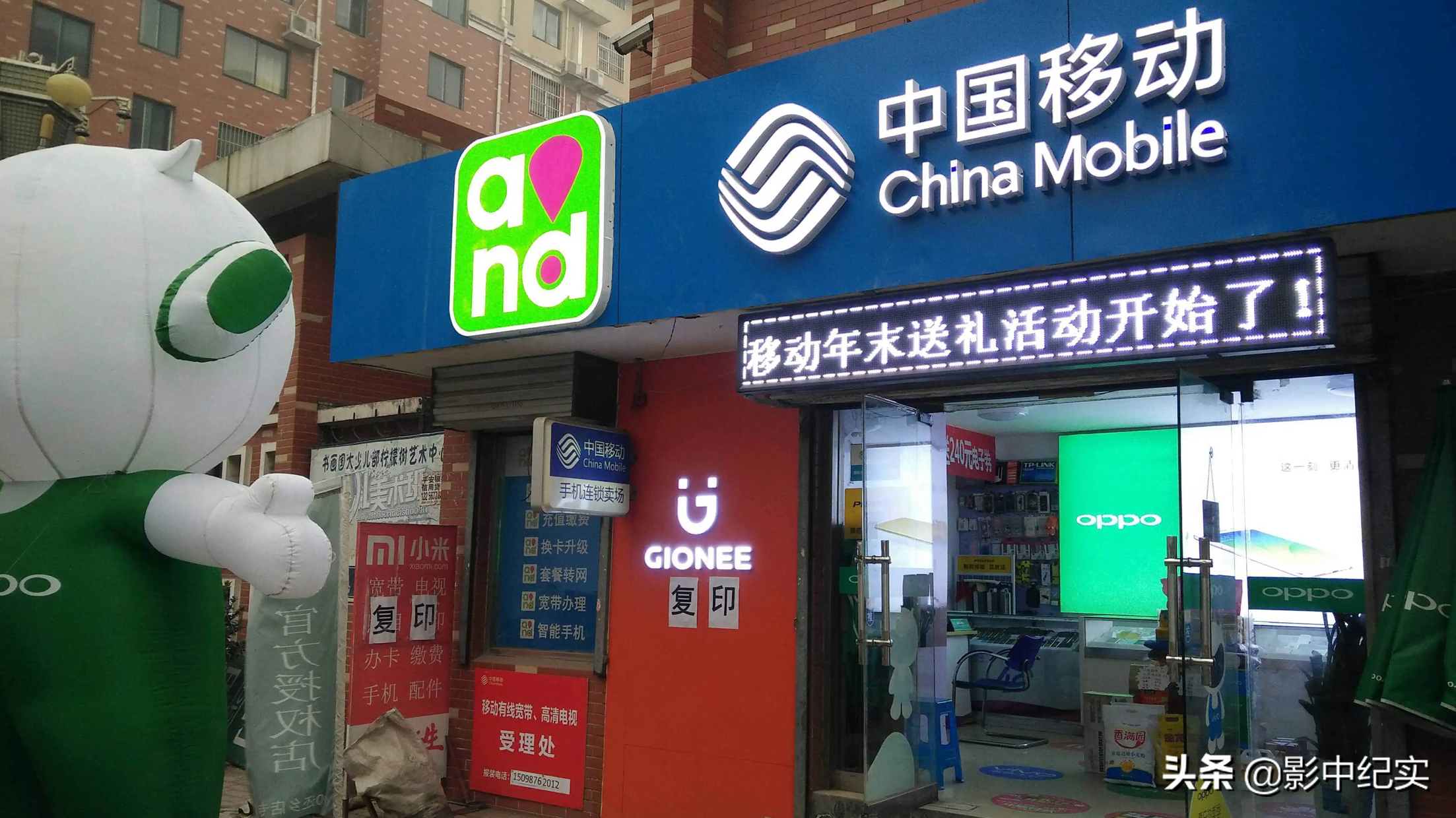 女大学生放弃年薪40万的工作，与野猪同吃同住，10年后年入上亿