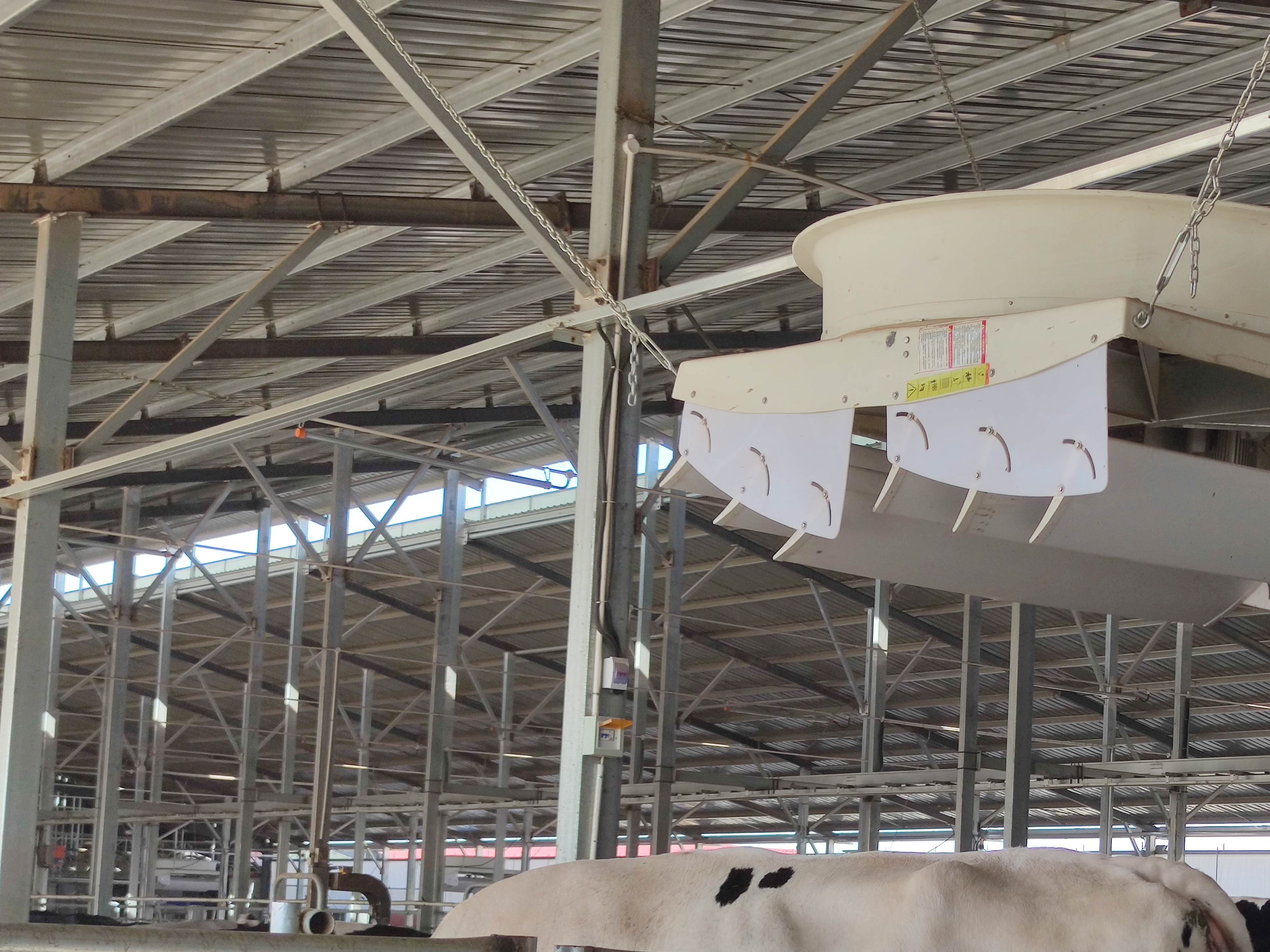 【奋进新征程 建功新时代】5G智慧养牛让奶牛更健康