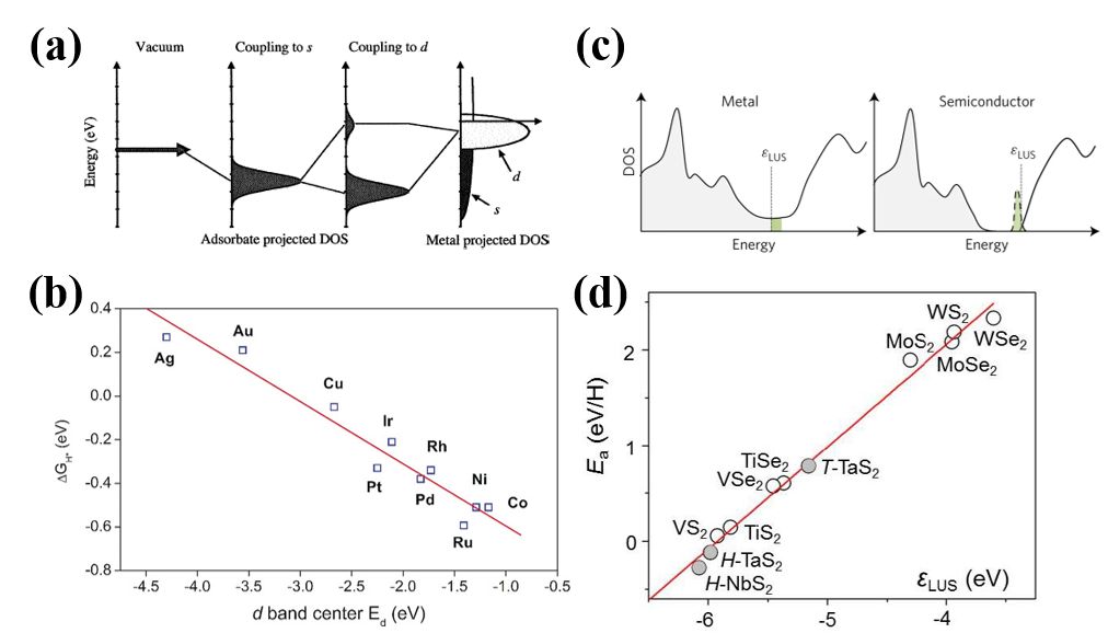 唐青/江德恩｜HER理论研究进展及其在活性位点识别中的应用