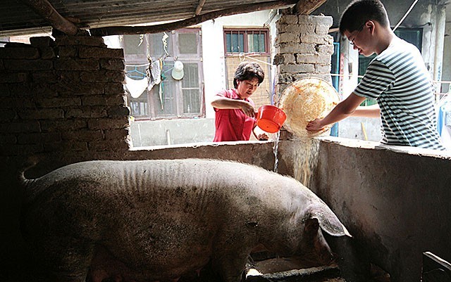 河南15岁男孩父亲去世，和母亲低保度日，4年后，以677分考上清华