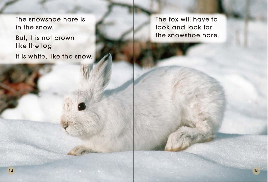 it is white,like the snow.它是白色的,像雪一样.