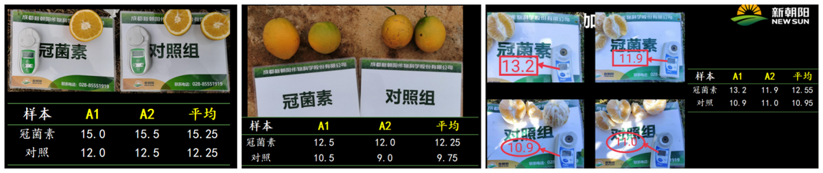 号称第七类植物调节剂的冠菌素，究竟能带给我们什么？
