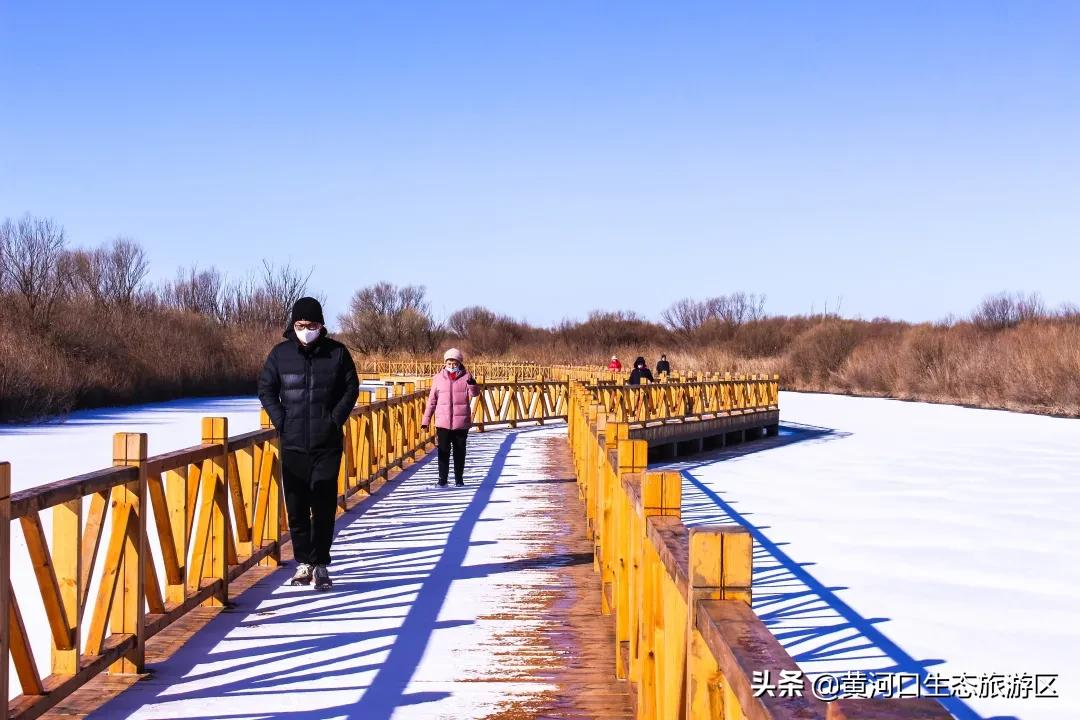 【黄河口生态旅游区】初雪悄临 静谧美好