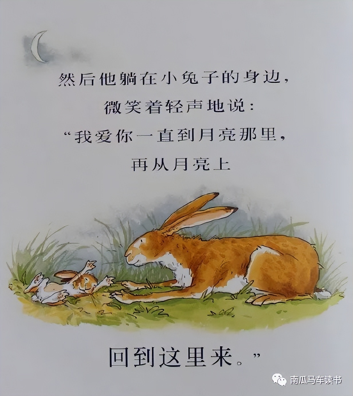 绘本《猜猜我有多爱你》：致敬母亲节——母爱到底有多长