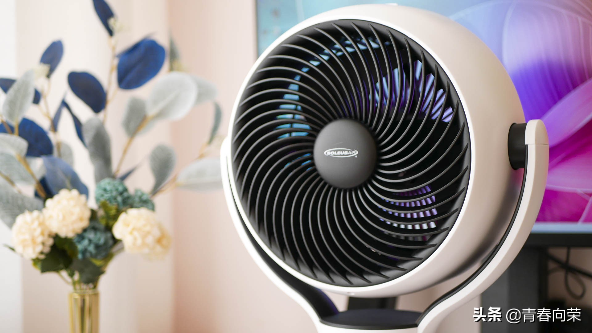 静音舒适，循环送风：舒乐氏空气循环扇体验+噪音测试