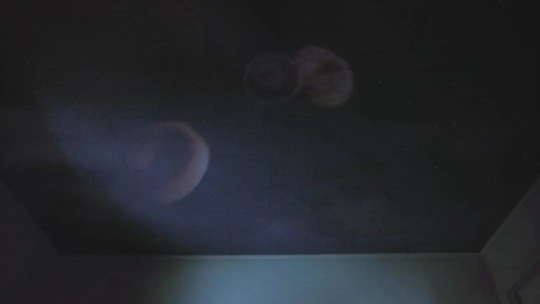 对于“冰毒”的科普，看了后你还敢碰？