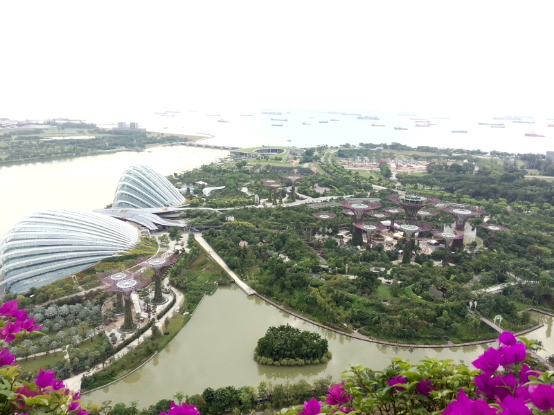 新加坡国立大学研究生回国就业情况