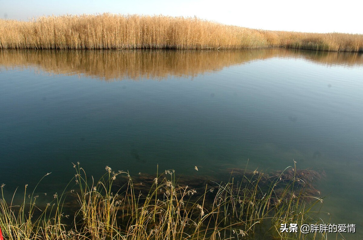 人人都是大忙人，忙着长大，弄丢了纯真；忙着成功，错过了风景