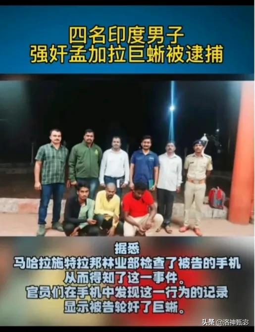 ӡ�Ⱦ�����ʲô����Ϊʲô����˵���ò������ÿ���