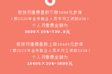 建議收藏！2022年社保參保繳費最全指南來了