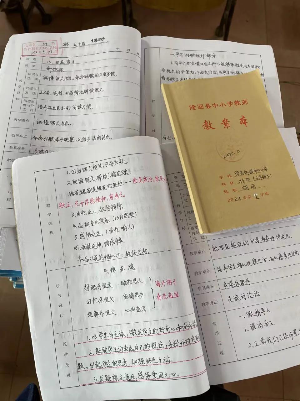 隆回县荷香桥镇中心学校进行教学常规及办学行为检查