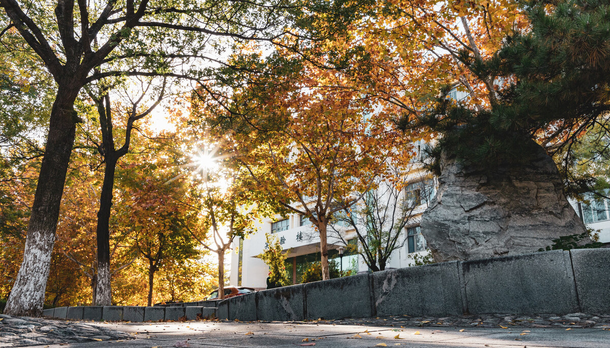 2022年高考，山东这5所大学新增中外合作项目，收分略低，收藏