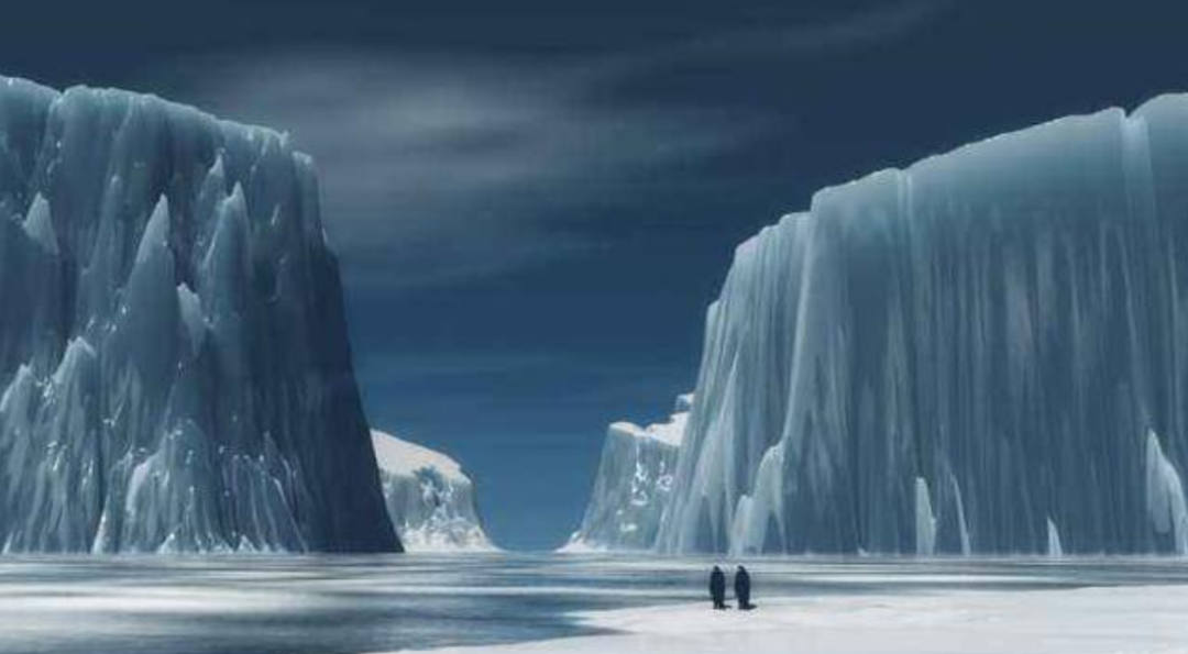 科学家警告：各种迹象表明，地球或许正进入第六次生物大灭绝