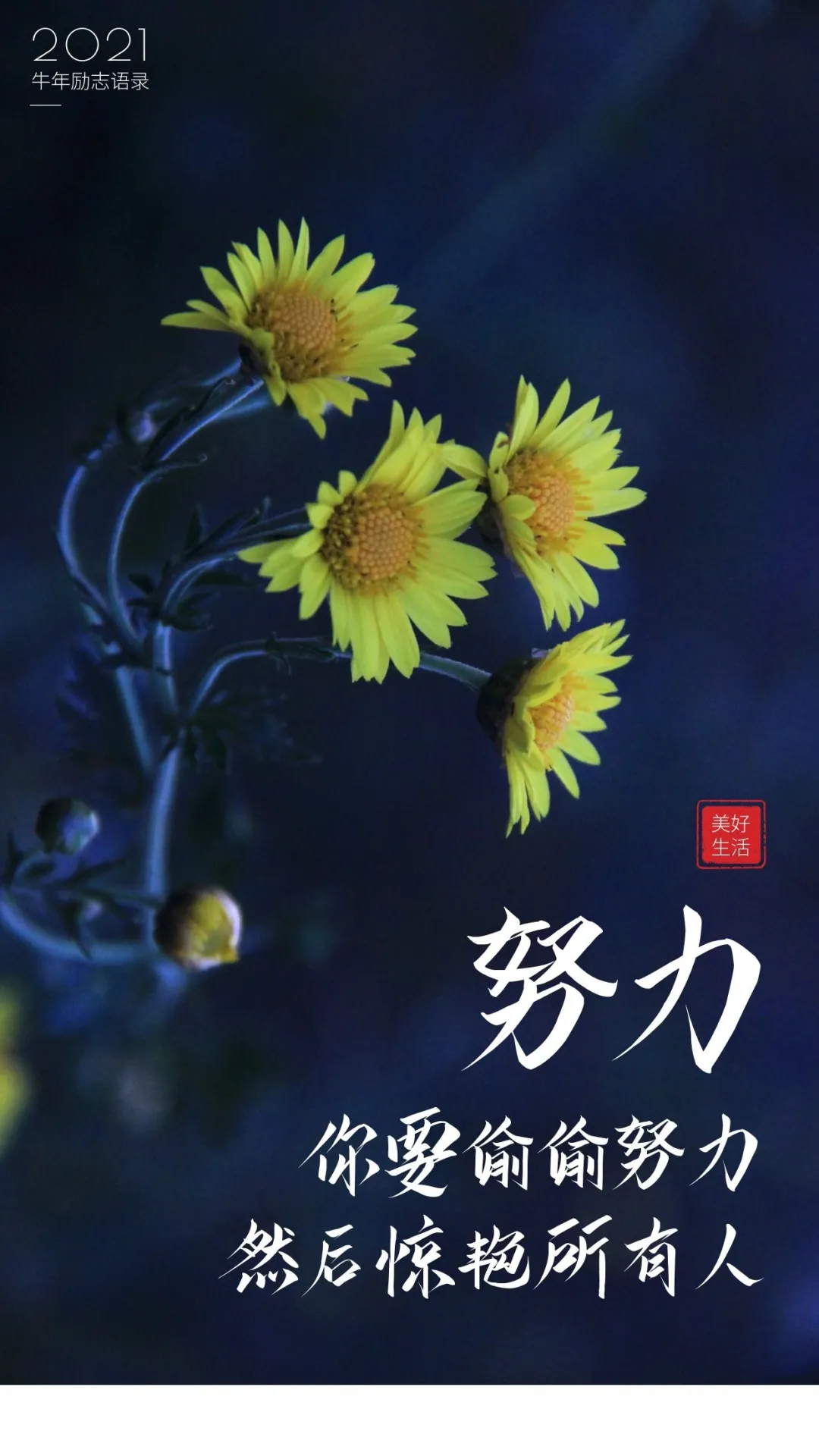 12.28」早安心语,正能量简单语句冬天温馨早上好图片带字