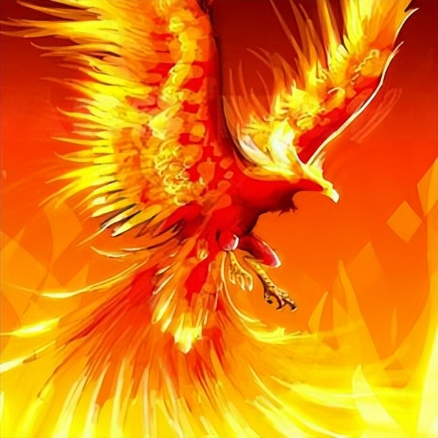 凤凰涅槃,浴火重生:没有不可治愈的伤痛,没有不能结束的沉沦