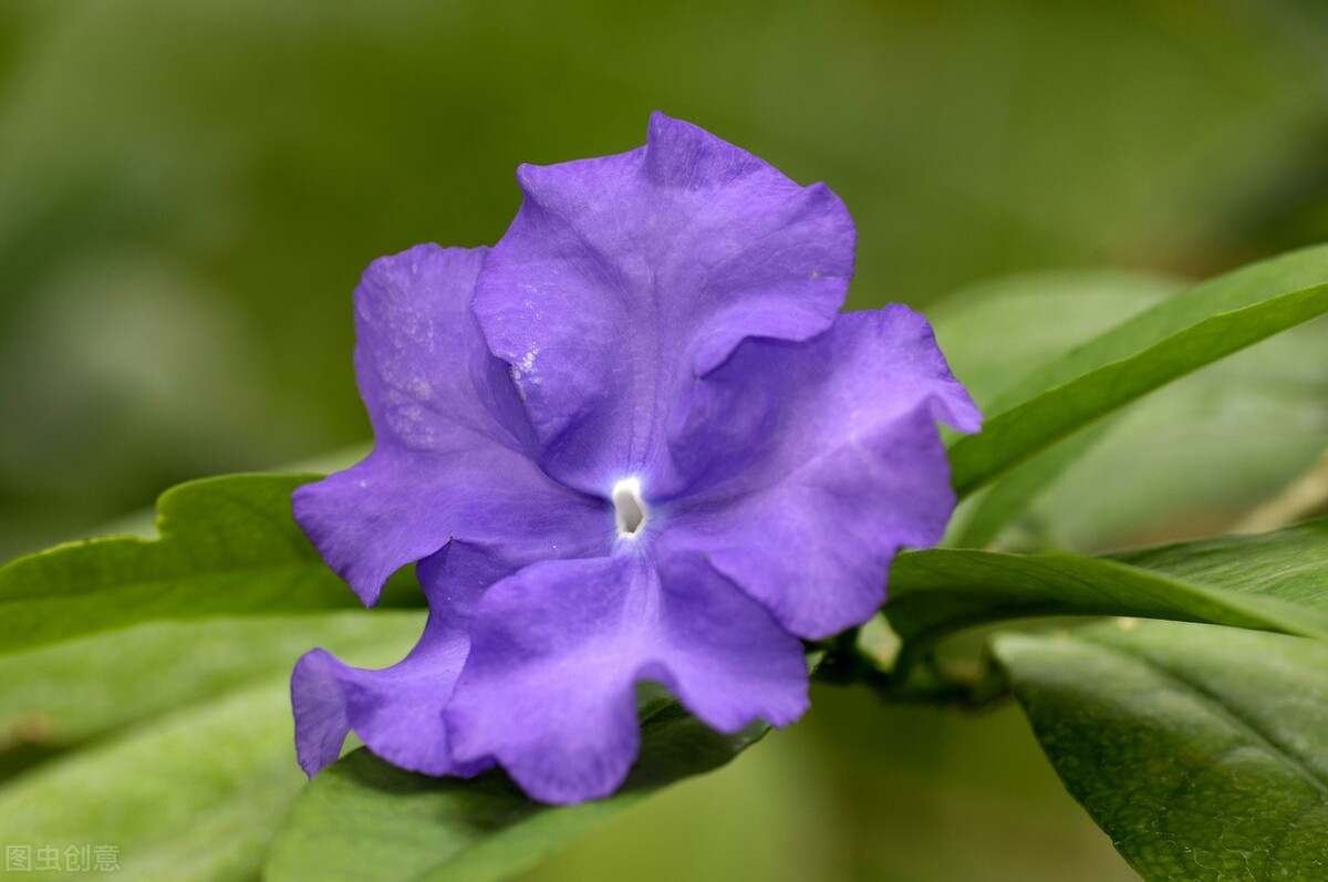 写作，就是注意力的争夺