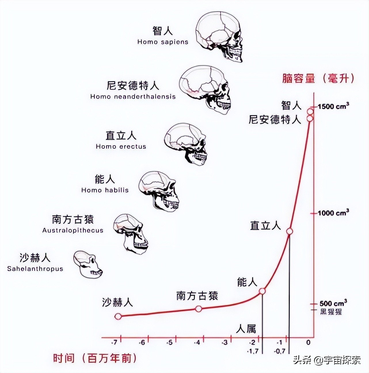 哭泣曲线图怎么解释图片