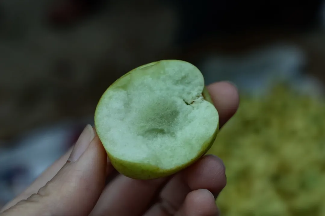 飘了,反套路的“硬核市集”给我找到了