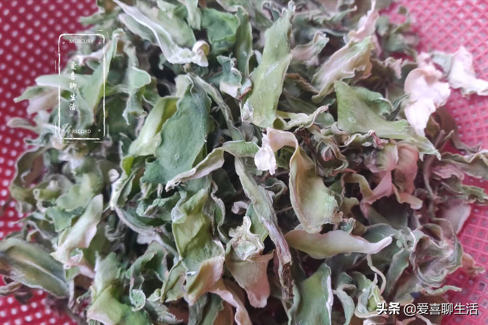 莴笋干的晒制方法（这菜晒干后比新鲜的还好吃）