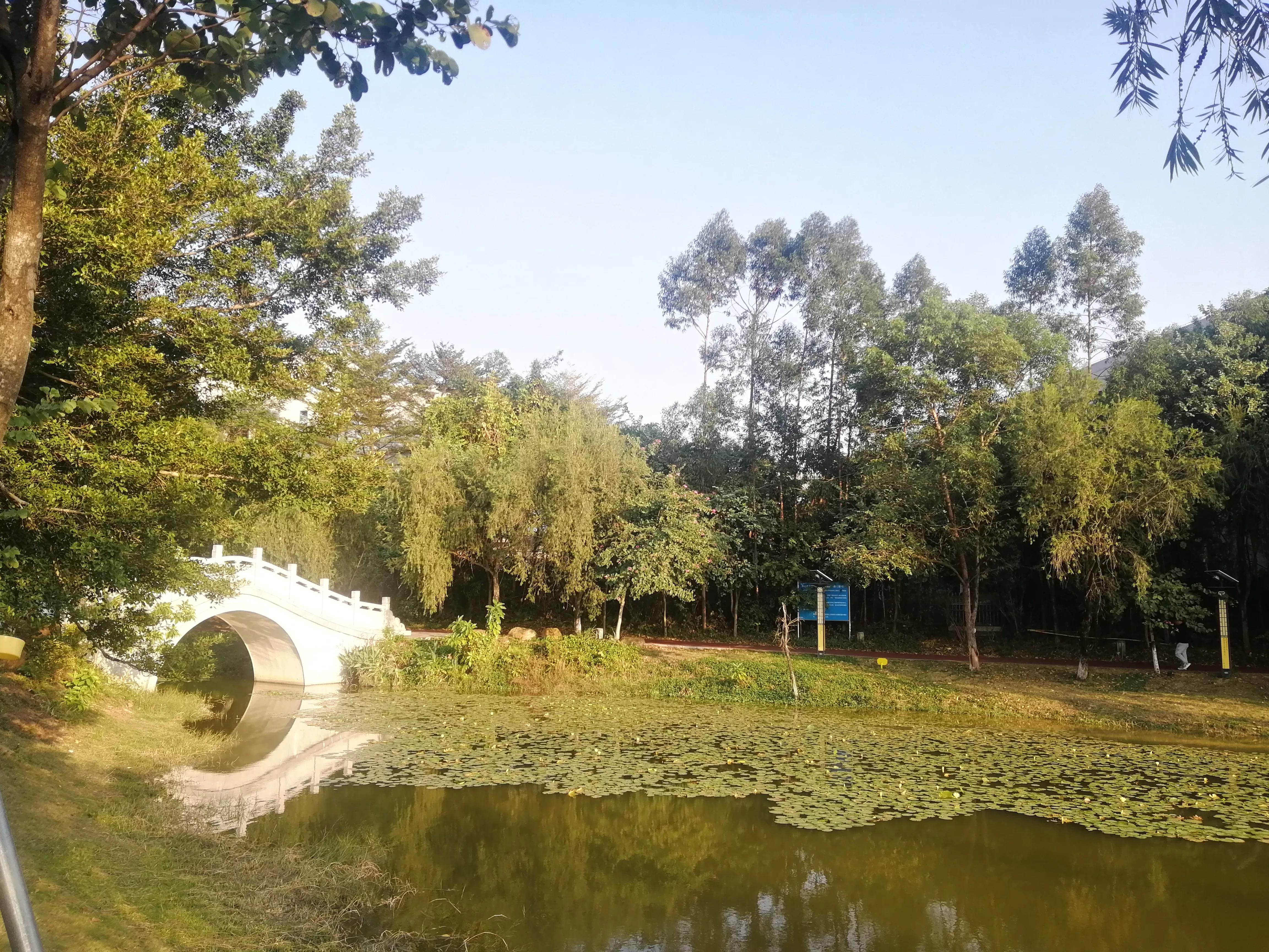 地铁4号线广州大学城一日游，带你体验不一样的大学城风景（A篇）