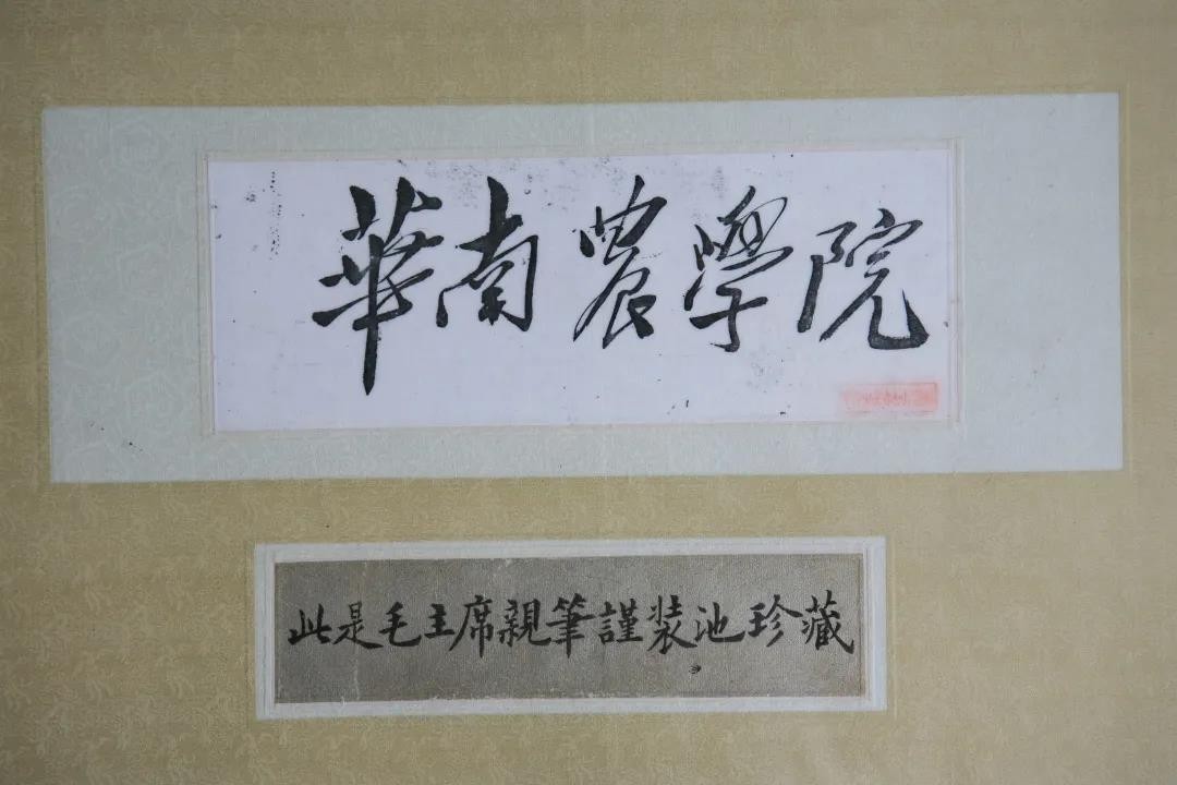 华南农业大学是双一流吗？突出重围，终成双一流新秀