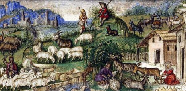 欧洲中世纪早期农业制度大解析！日耳曼人种地到底有多糊弄事？