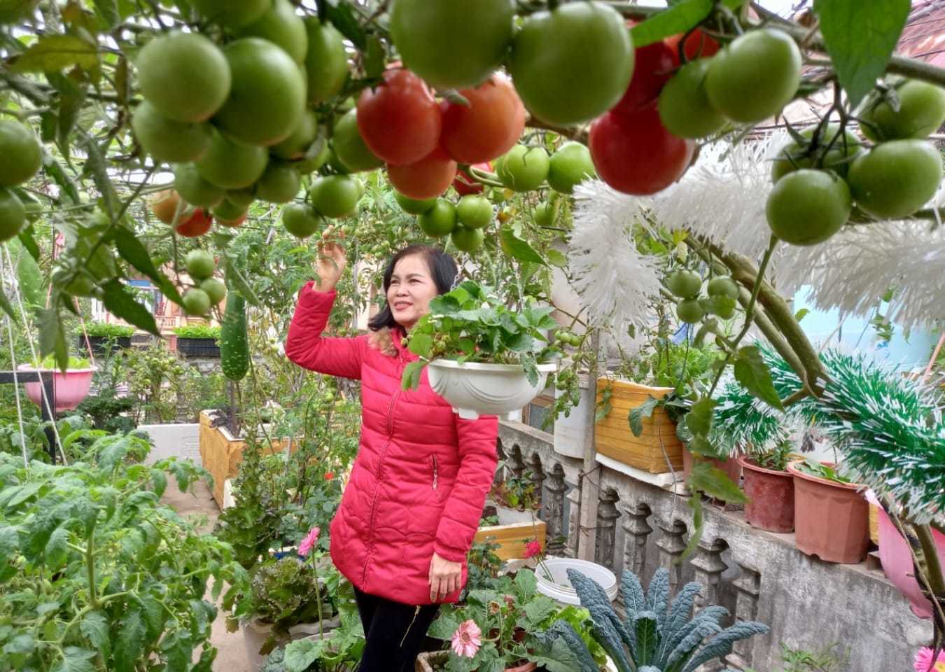 50㎡小家焕新记：50岁妈妈花1000元打造温馨家居