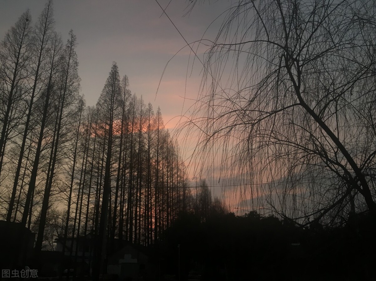 我們應該順應自然法則來保養我們的身體