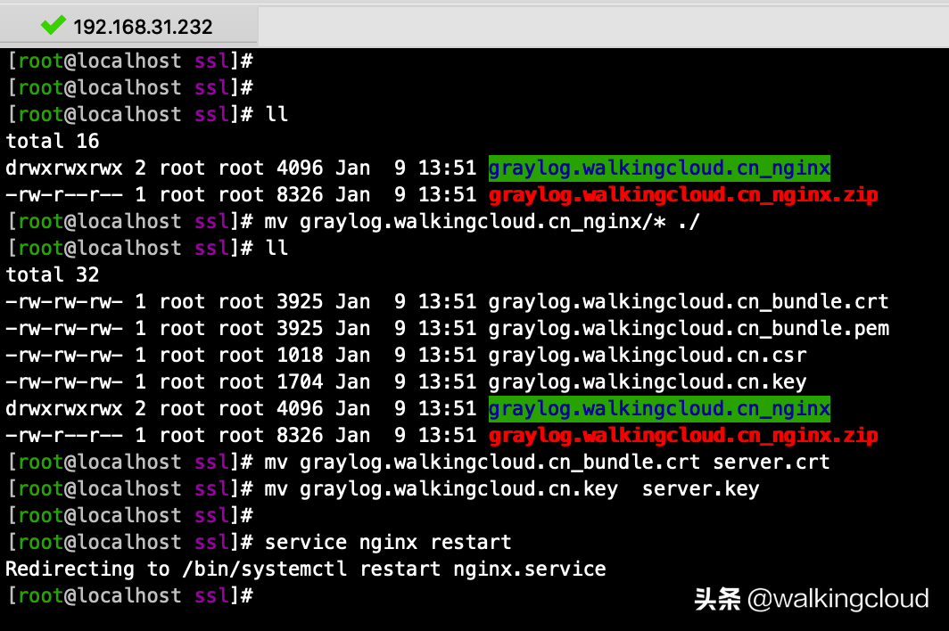 为GrayLog Web接口配置nginx HTTPS/SSL反向代理