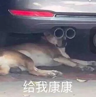 微信又更新,「搜一搜」功能这次有新玩法