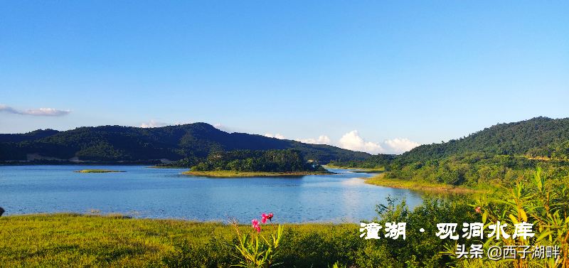 西子人才网惠州招聘（惠州哪个地方最富）