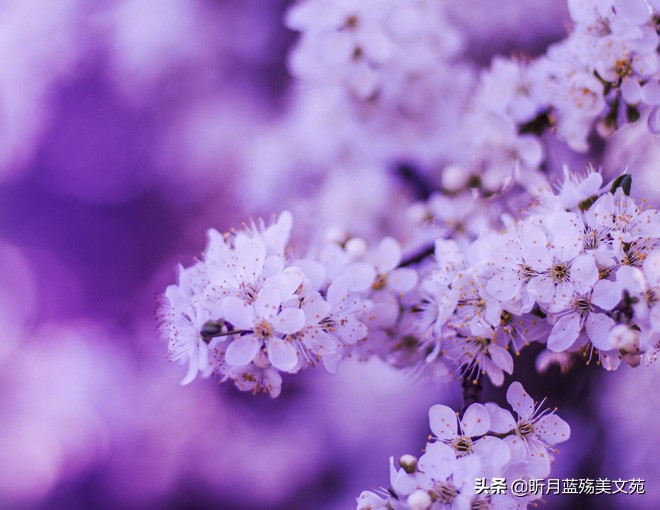 时间很浅，爱，爱情，请思考你