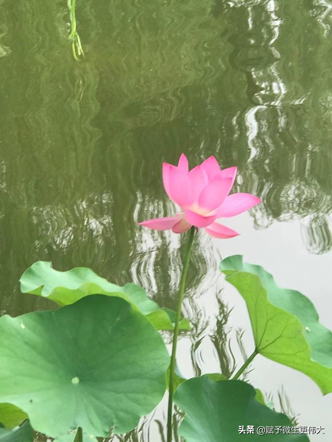 尽情说——平正章明花家地