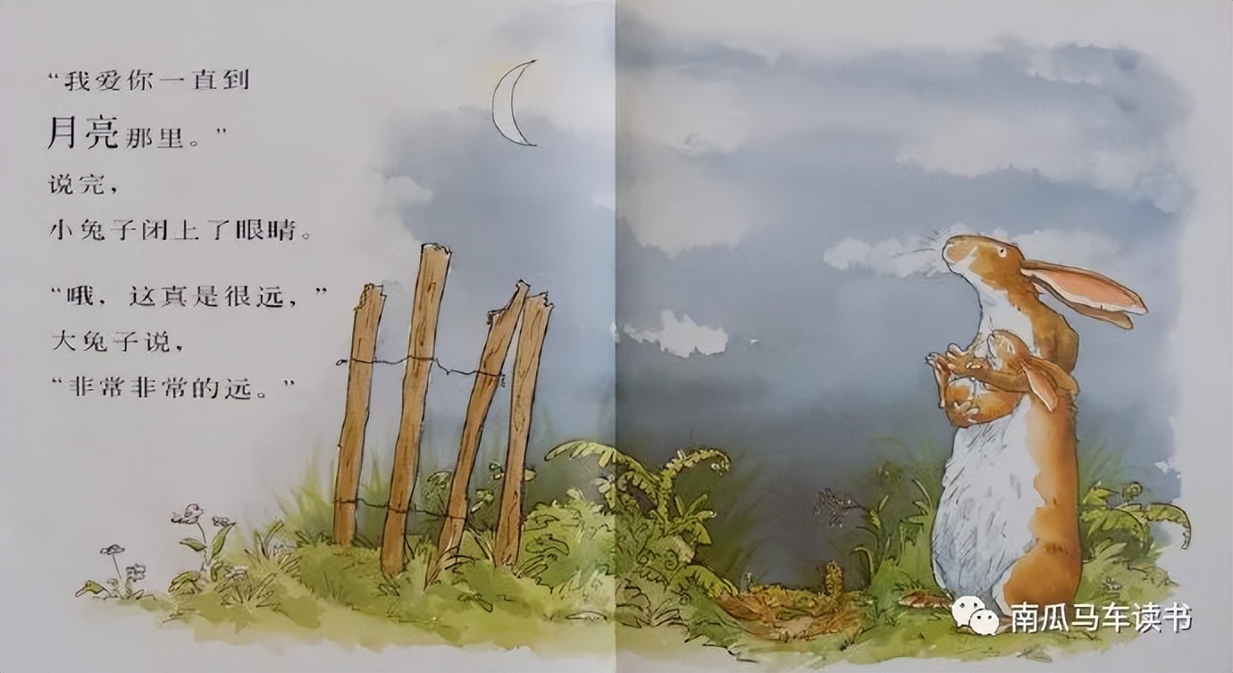 绘本《猜猜我有多爱你》：致敬母亲节——母爱到底有多长