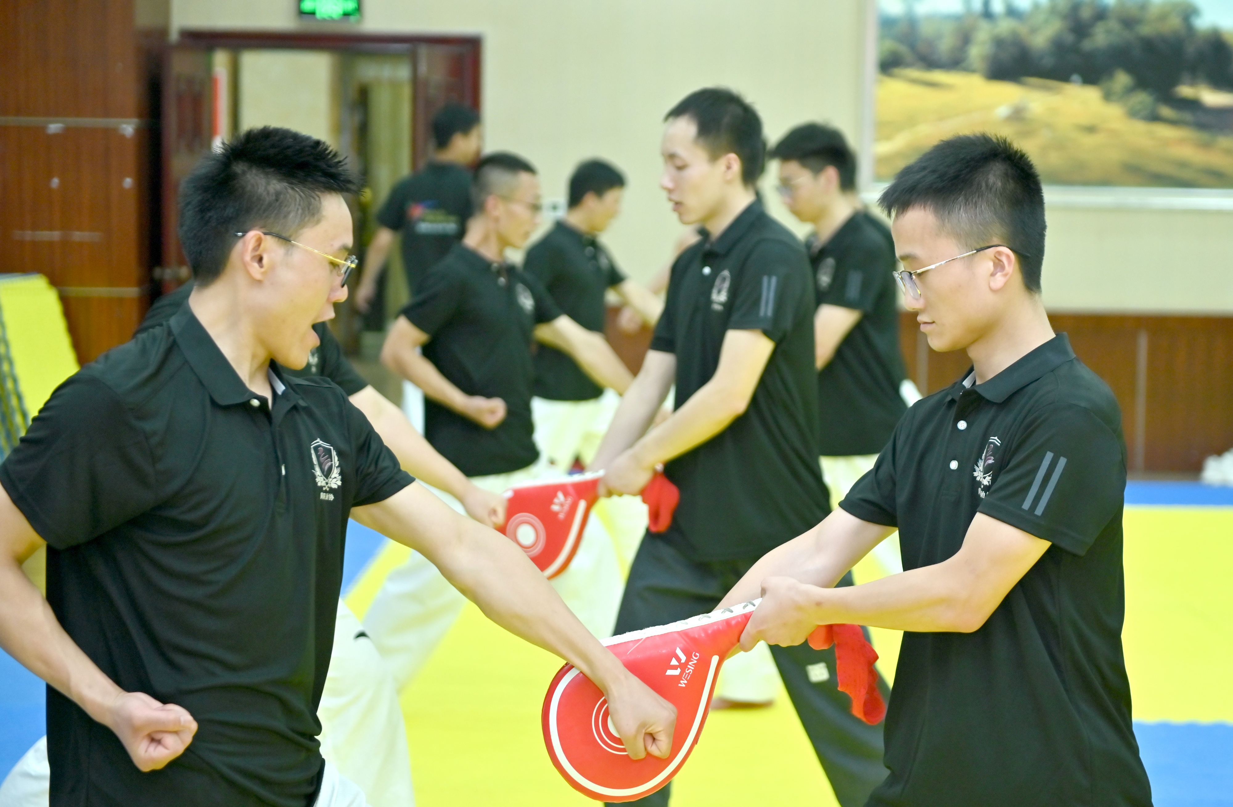 2022年简阳市跆拳道教练员（教师）培训圆满结束