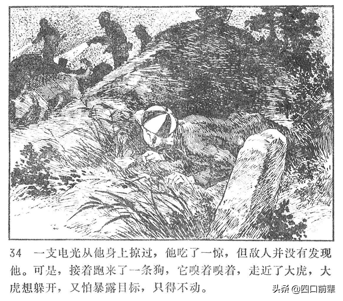 大虎和二虎 天津人民美术出版社 四口前辈 连环画 80后的回忆