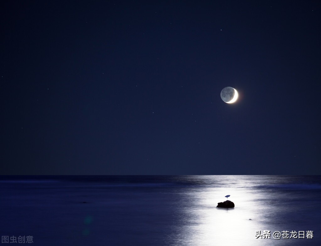 春日限定美景，邂逅花开的温柔时光