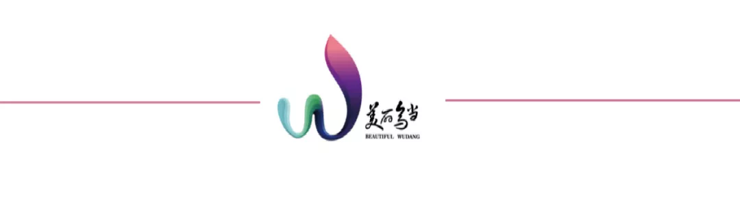 城市房地产法,中华人民共和国城市房地产法